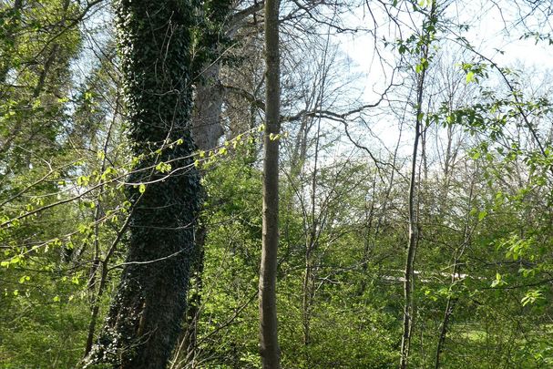 Paradieserl_ Foto: Ortsgruppe Dießen