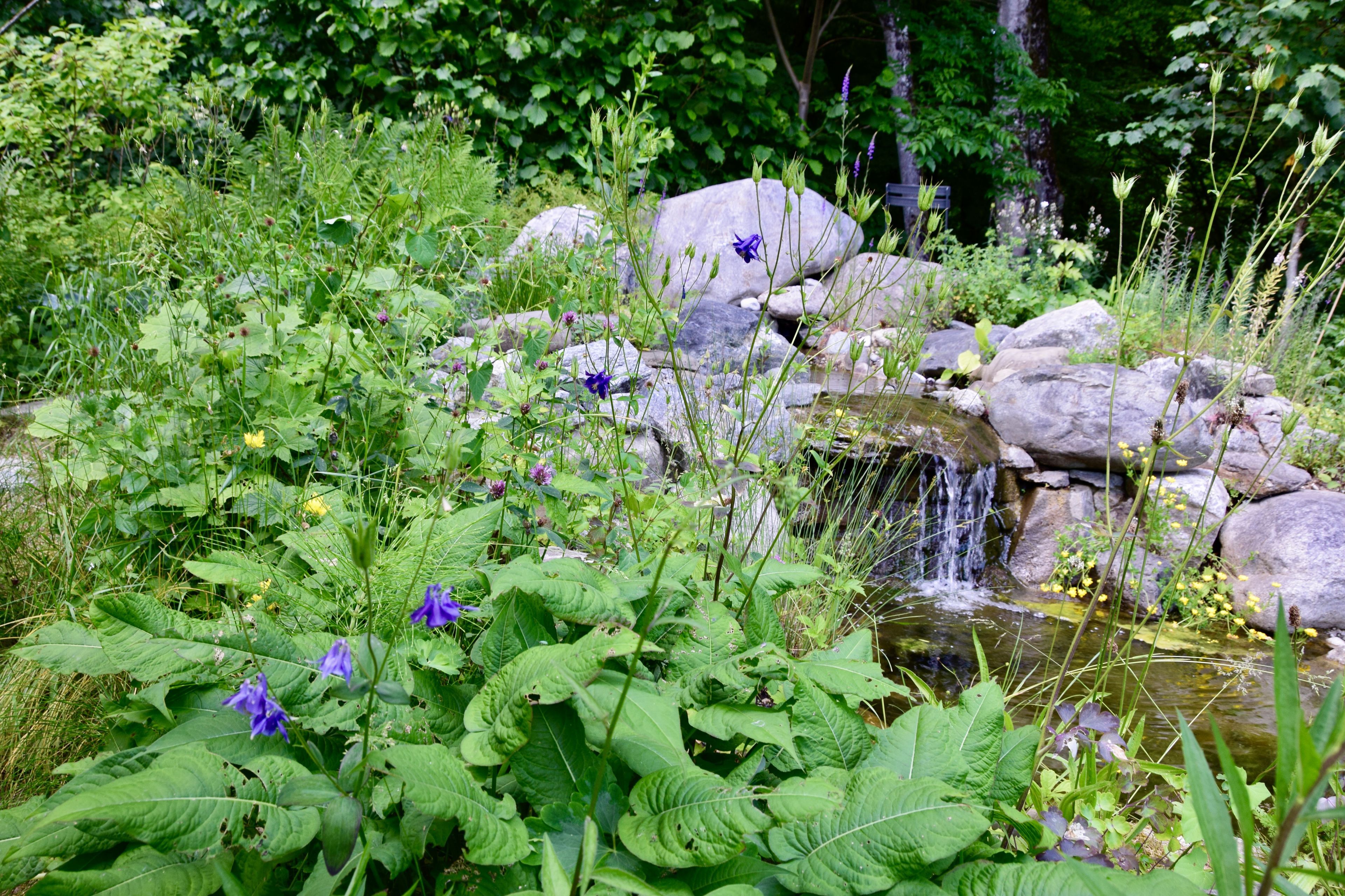 Naturgarten_S. Millonig