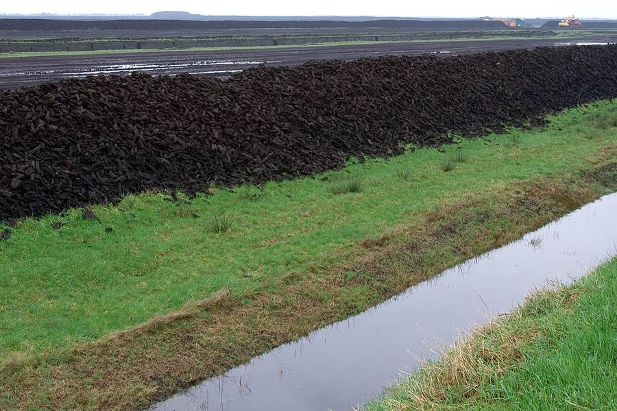 Gärtnern ohne Torf - BUND Naturschutz in Bayern e.V.