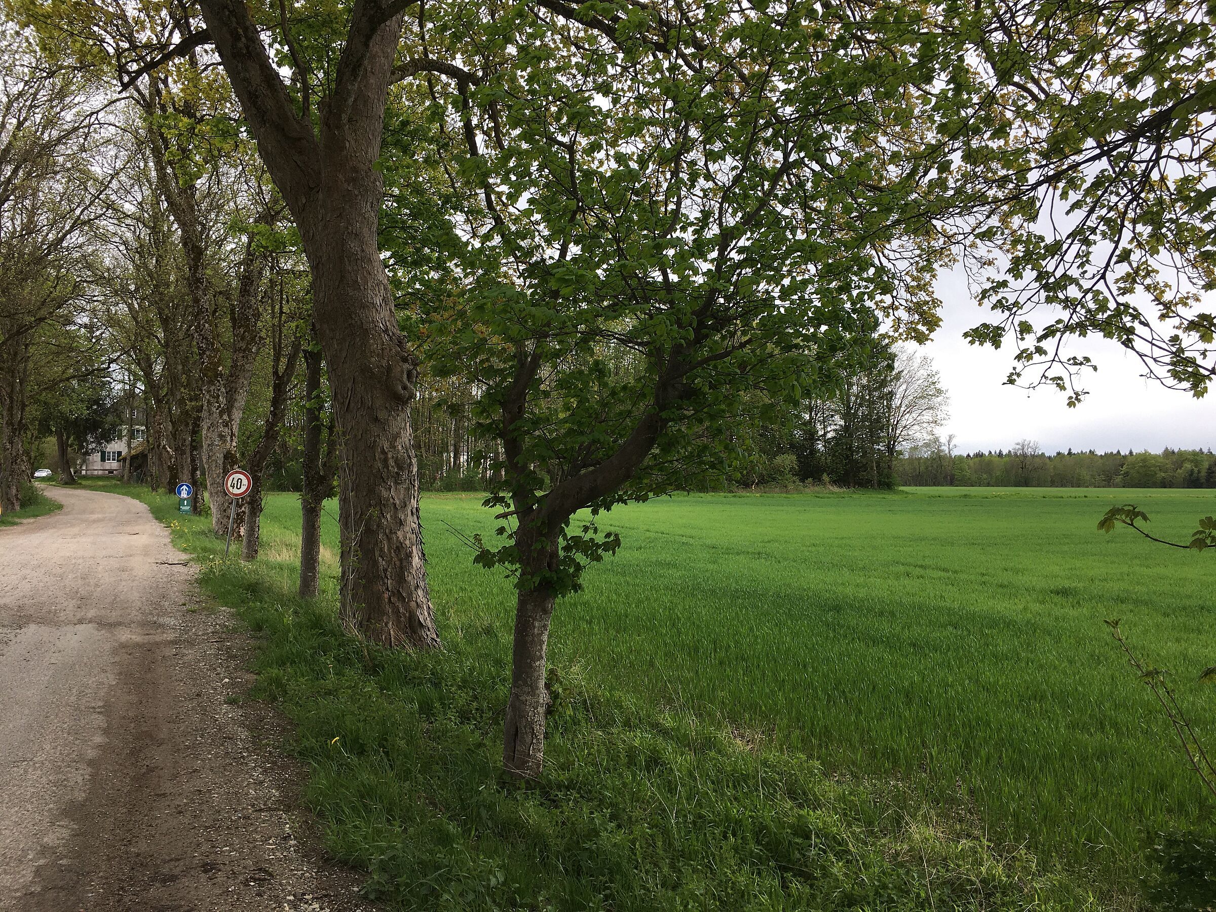 Zufahrt Einöde Stillern