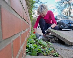 Abpflastern an einer Mauer:BUND Hamburg