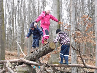 Kinder im Wald_Foto: Petra Zollitsch