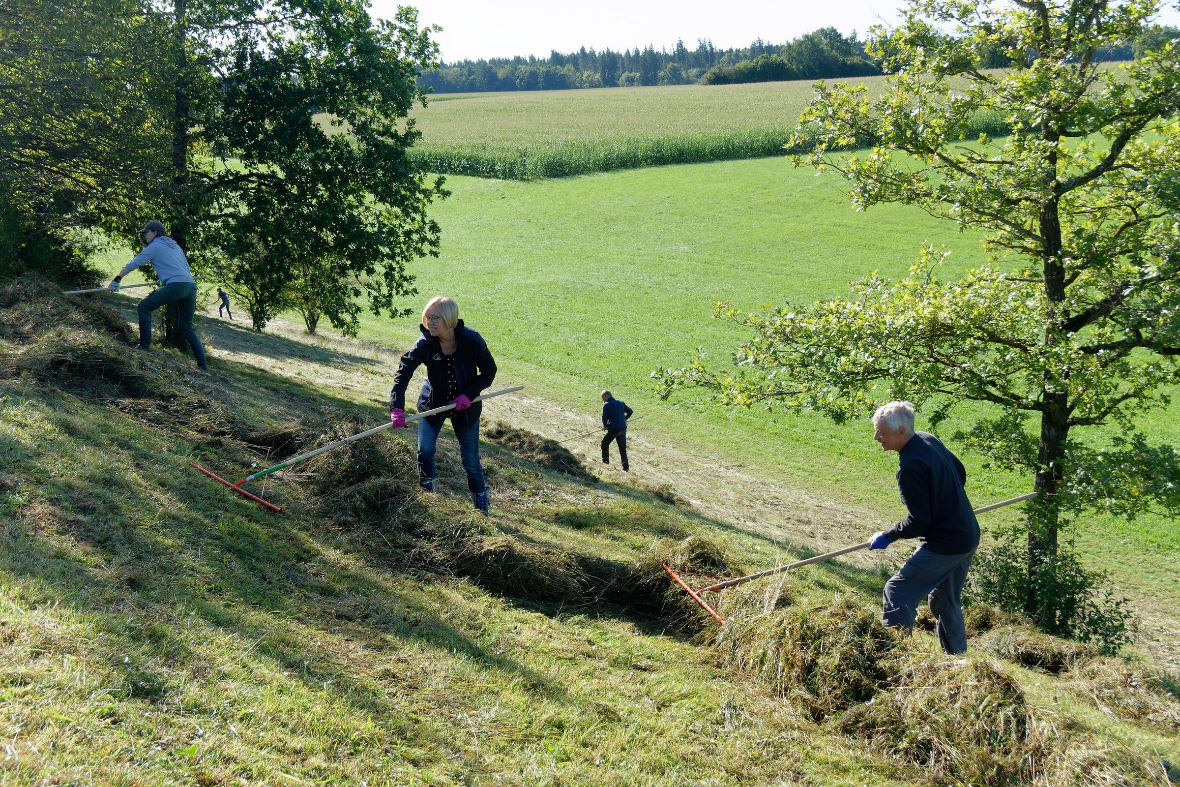 Pflegearbeiten Stadler Hang_Foto: Horst Preckur