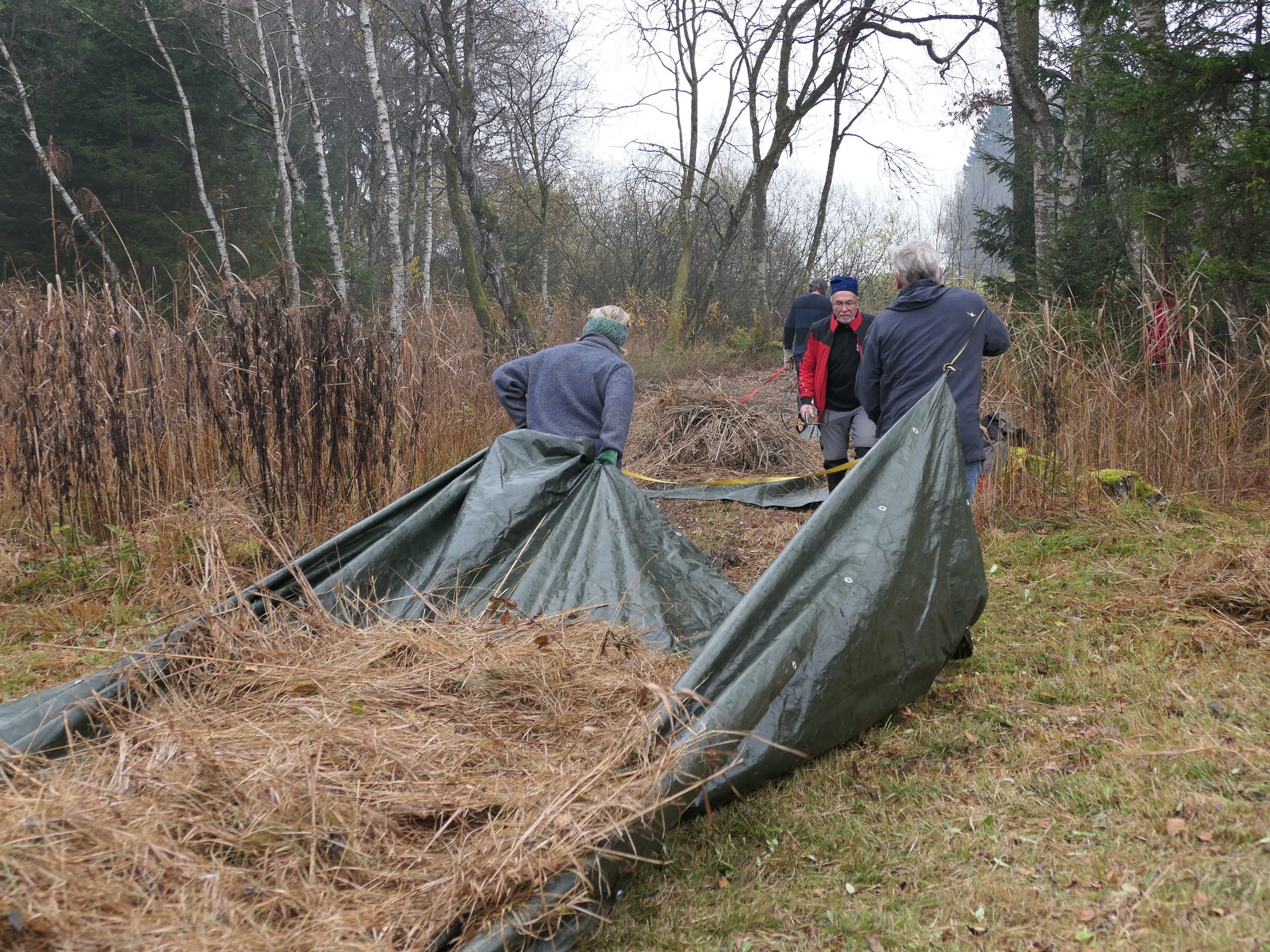 Tannerfilz_Abtransort Mähgut_Foto: C. Thornton