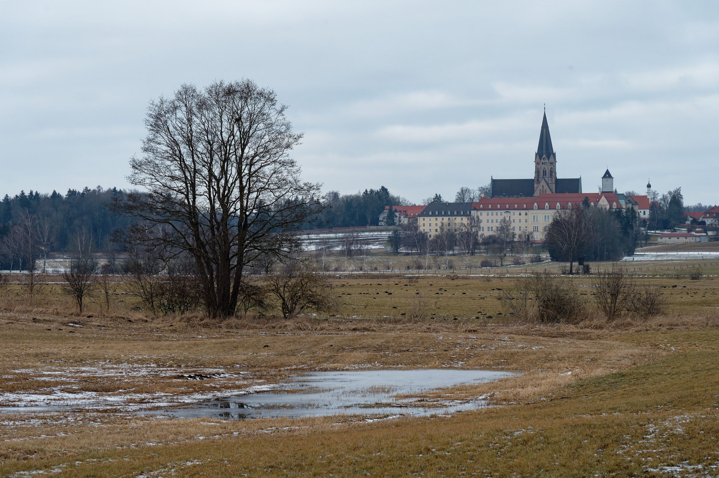 Pflaumdorfer Moos, Blick Richtung Kloster_Foto: Horst Preckur