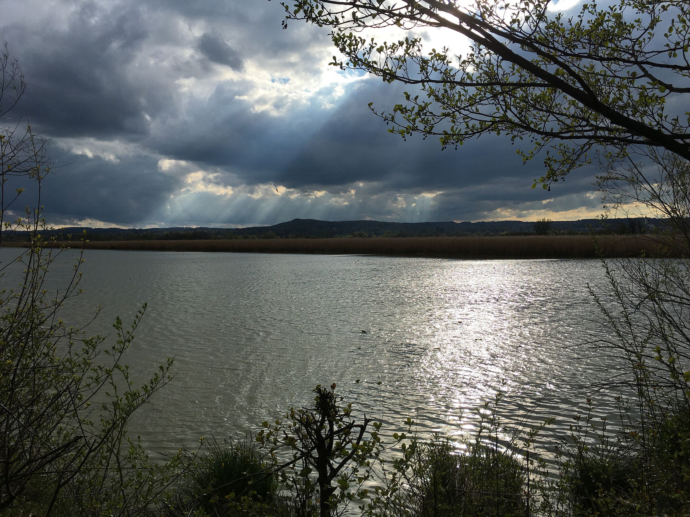 Ammersee Südufer_Foto: Peter Satzger