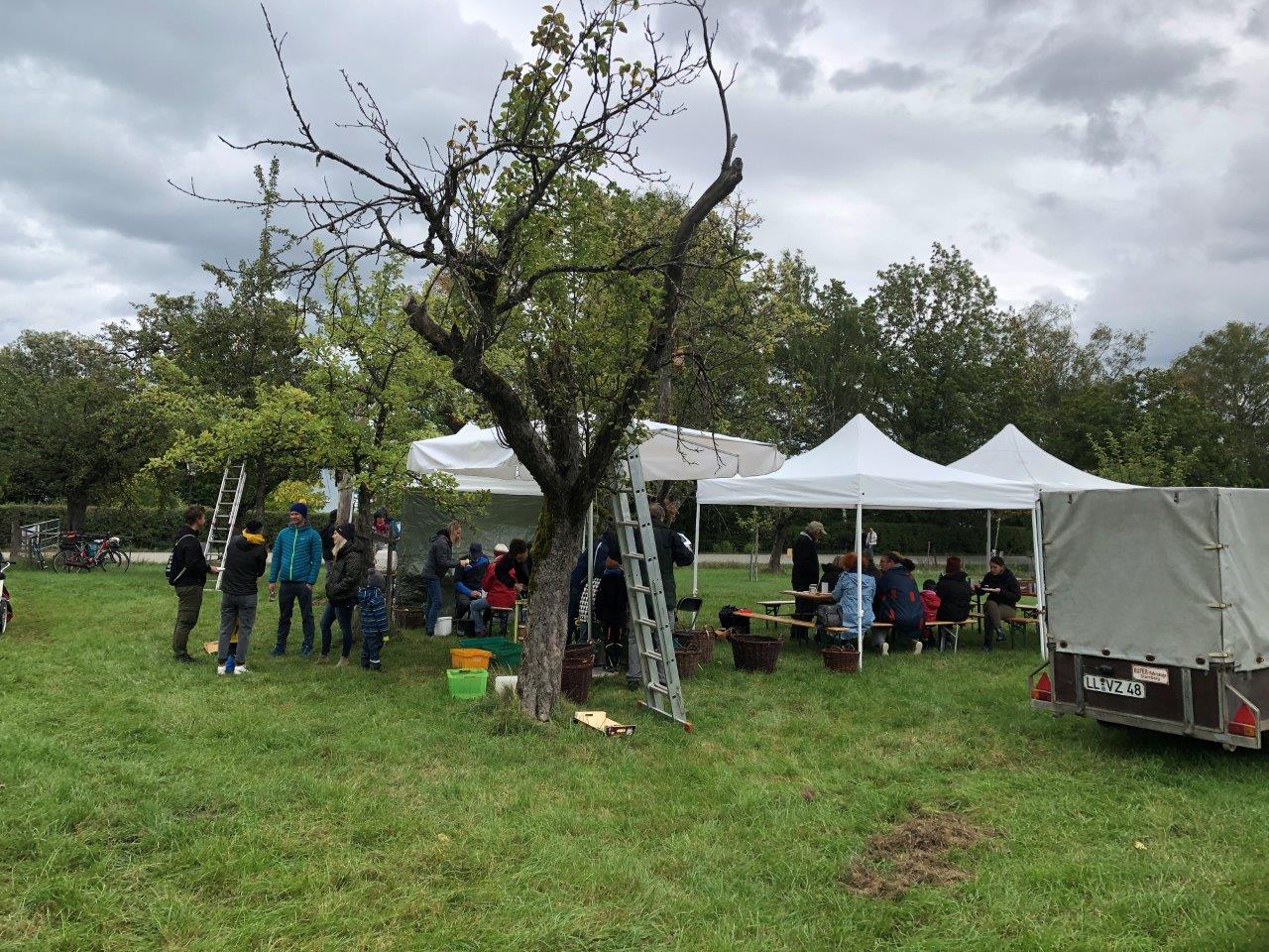 Apfelfest auf der Streuobstwiese in Utting. Nach tagelangem Regen war es endlich trocken und nicht mehr so kalt. Foto J. Bäzner